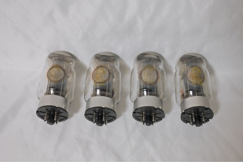 Gold lion kt88 - lion,